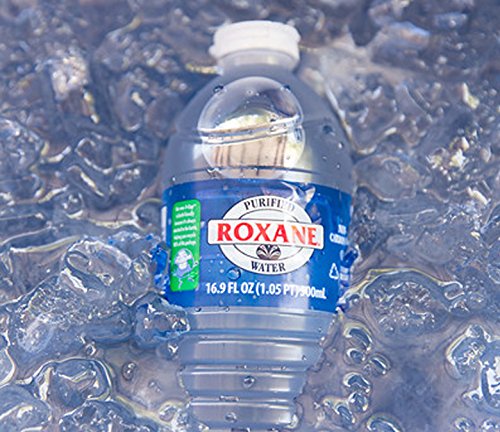 Roxane Purified Drinking Bottled Water, 1 case of 24 bottles